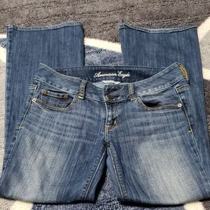 American Eagle Artist Jean
